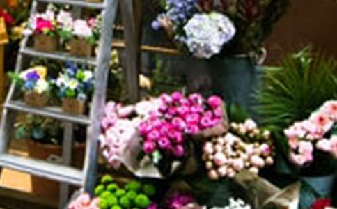 �P(gu��n)�ڻ���ľ���