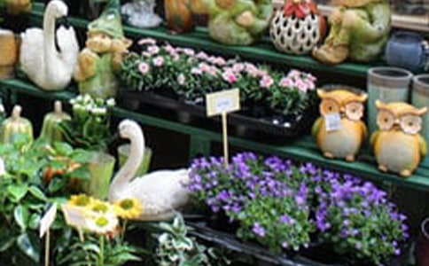 報(bào)亭和花店的愛情作文750字初一