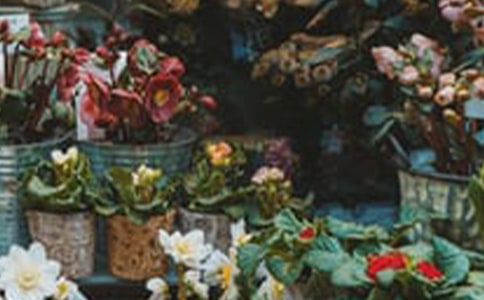 ȥ�����I(m��i)������