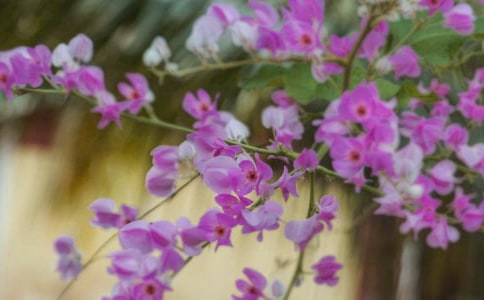 ������g�̰��������Ļ��䡷