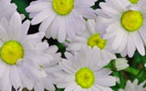 �����Ļ������g(sh��)�̰�(9ƪ)