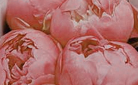 ���`�Ļ�������