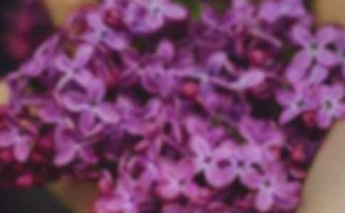 開在心中的花朵作文550字