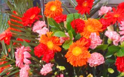 ����w�����(d��ng)�̰��������@��