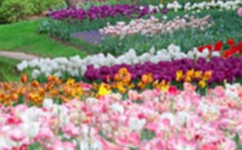 �P(gu��n)�ڻ��@�����ľ��A��15ƪ��