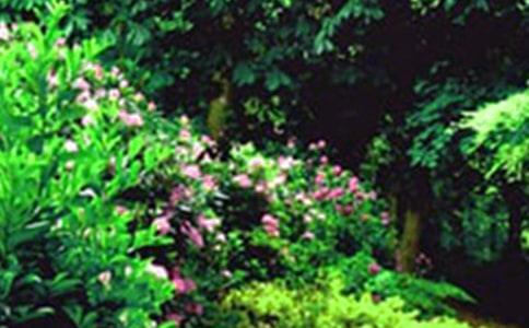 [�ϼ�]��(xi��)�����@����3ƪ