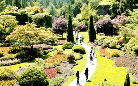 寫景花園作文400字