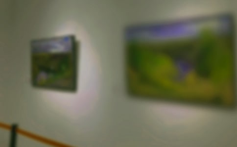 參觀畫展日記(精選57篇)