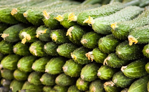 ���S�χ�(gu��)�����x���400��4ƪ