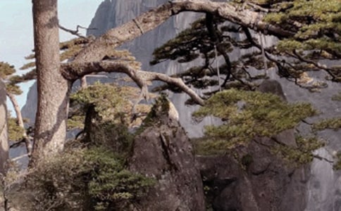 關(guān)于黃山作文