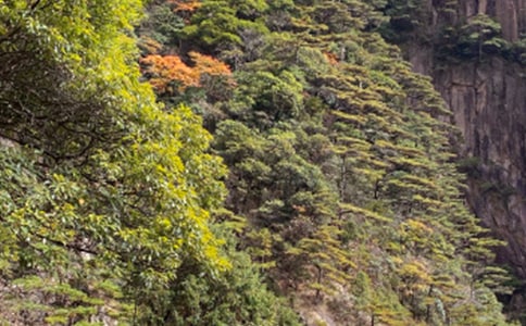 【優(yōu)選】黃山導(dǎo)游詞