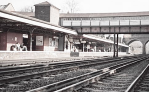 �P(y��ng)������--�Fꖻ�܇վ����