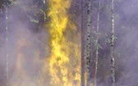 �������(z��i)���ĵ��w��(hu��)