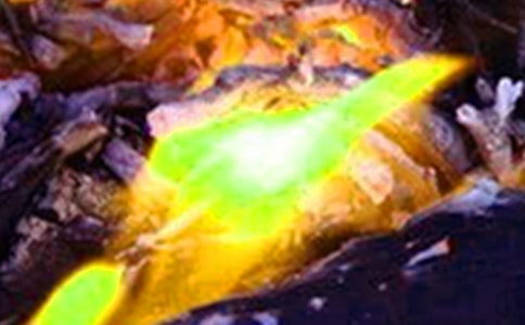 火災(zāi)防控工作總結(jié)(精選16篇)