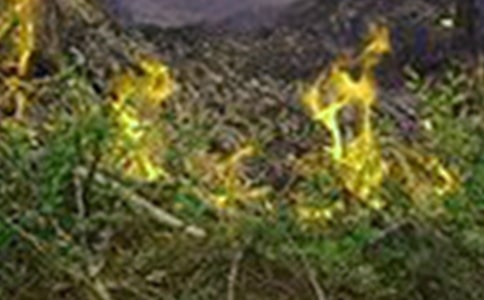 火災演練心得體會(15篇)