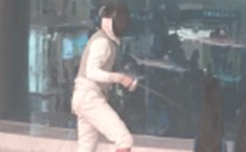 小學(xué)生童話作文:喜羊羊與灰太狼之擊劍比賽