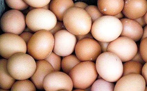 雞蛋花作文350字