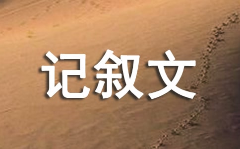 有關(guān)記敘文作文合集9篇