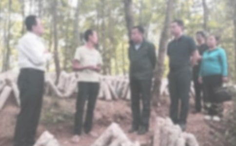 紀檢部門工作計劃