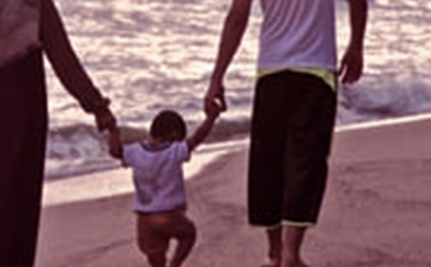 �WУ��ͥ�����v���ĵ��w��