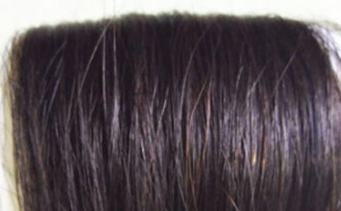 ��ٰl(f��)����Ȥ������450�֣����x20ƪ��