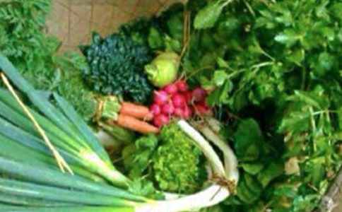 ʳƷ�ĘI(y��)�ˆT���������ƶ�