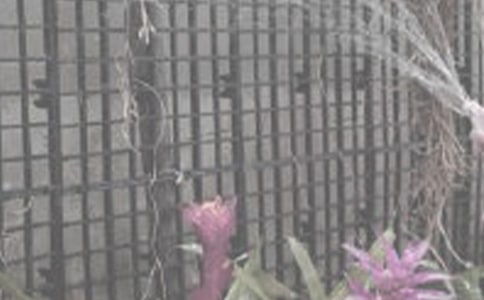 ��������250��