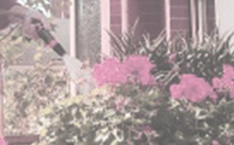 ��������100�֣����x43ƪ��