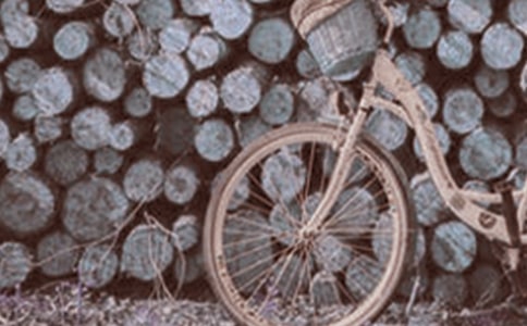 學(xué)騎腳踏車(chē)敘事作文300字