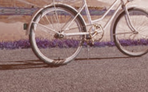 生活腳踏車散文