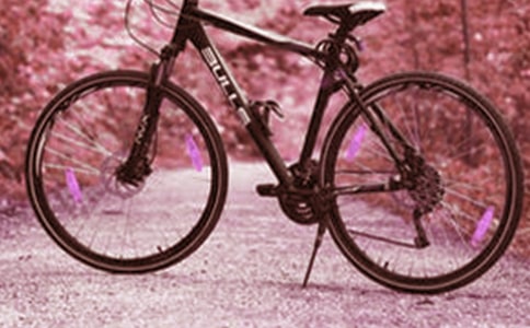 學(xué)習(xí)腳踏車作文