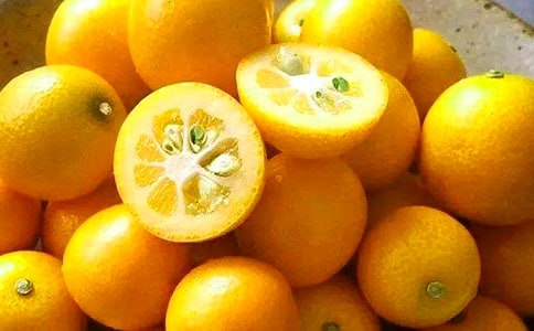 我愛故鄉(xiāng)的金桔作文