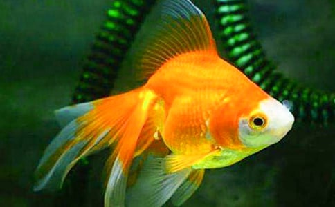 СŮ����С���~�Ĺ�������