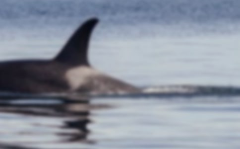 С�W���L�~����������