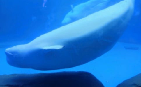 ׃���L�~(y��)��������700�֣�ͨ��22ƪ��