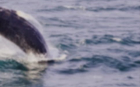 ���С��L�~������