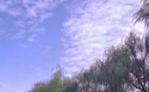 С�W(xu��)����ɫ������[�]]