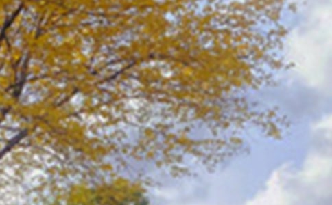 ��(xi��)��ɫ������ͨ�á�3ƪ��