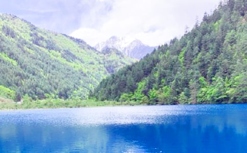 關于美麗的九寨溝作文500字(精選109篇)