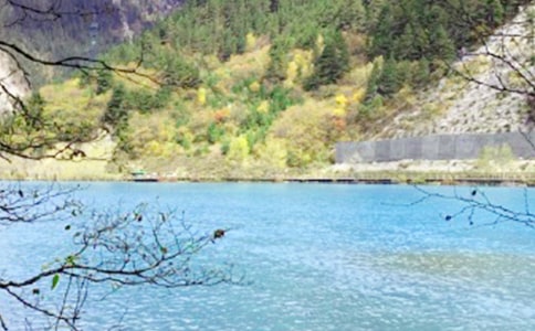 介紹四川九寨溝的導(dǎo)游詞范文