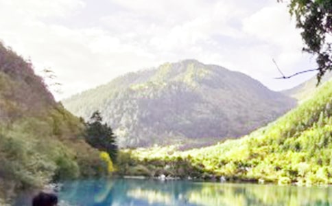 �Ĵ���կ�ό�(d��o)���~��ͨ��23ƪ��