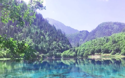 九寨溝作文(通用23篇)