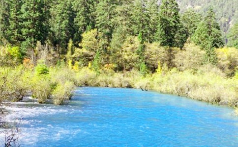 ����ľ�կ������