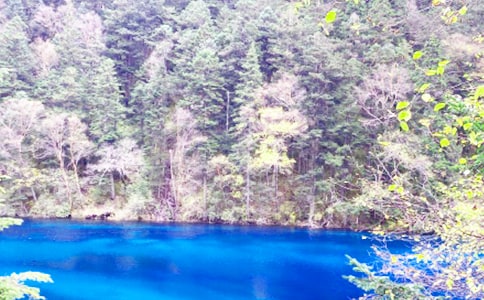 ��կ�ό������İ�ƪ