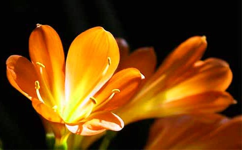 �����m����