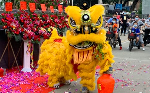 �_�I(y��)�c����e���o