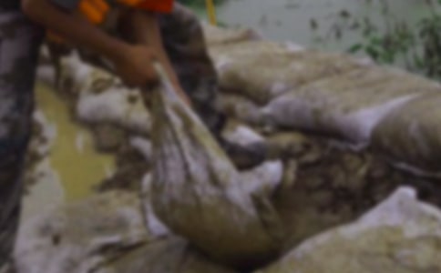 ����С������Ӣ�ۡ�����