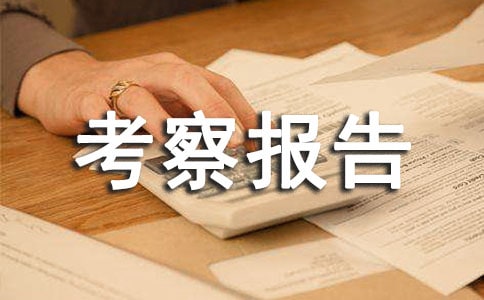 �������ʽ