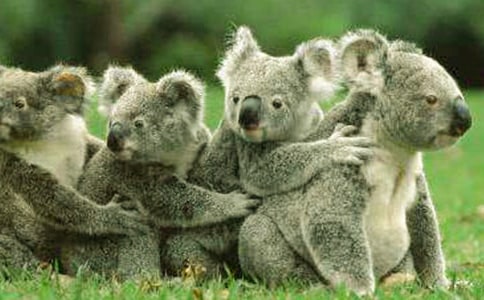 ��������(li��n)�����_�����Ļ ����ṩ��(y��u)�ݷ�ֵ