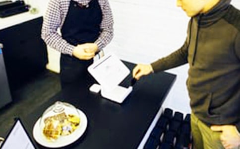 森林里的新客人作文